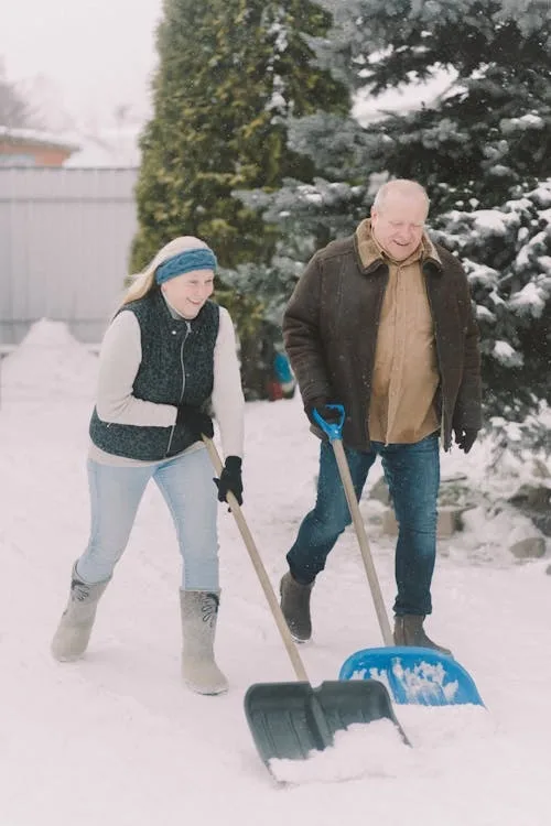 Two people using snow shovels to clear a snow-covered path beside evergreen trees.