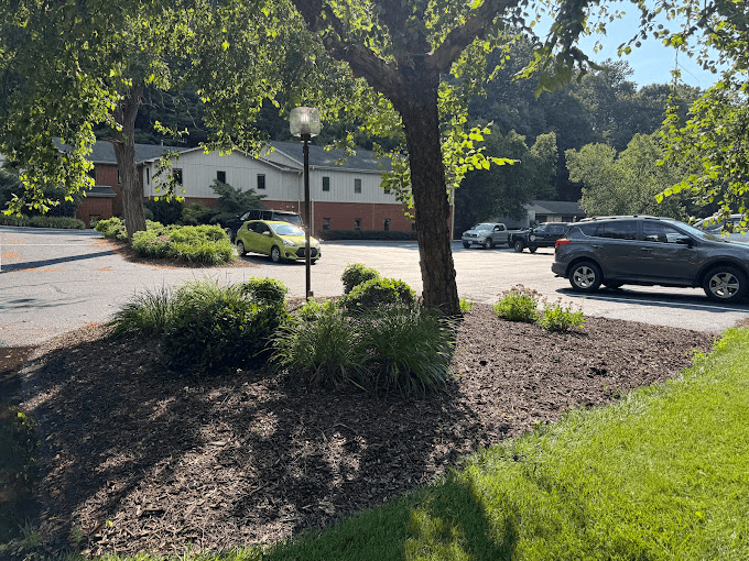Professional commercial landscaping with mulch beds and ornamental plantings