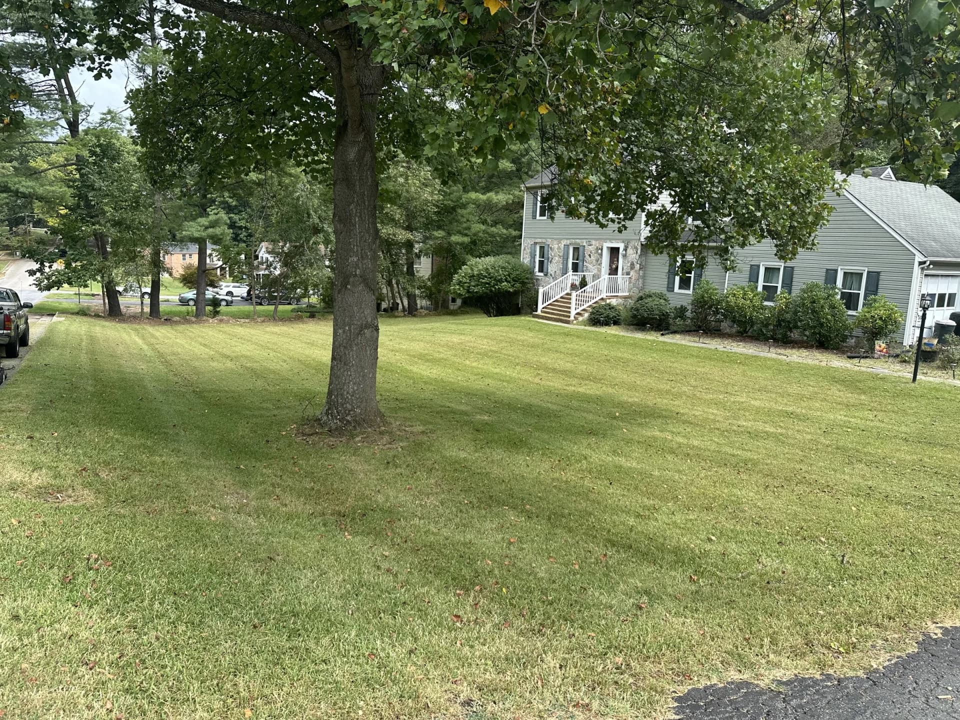Freshly mowed front lawn beneath mature shade trees beside a driveway and gray house.