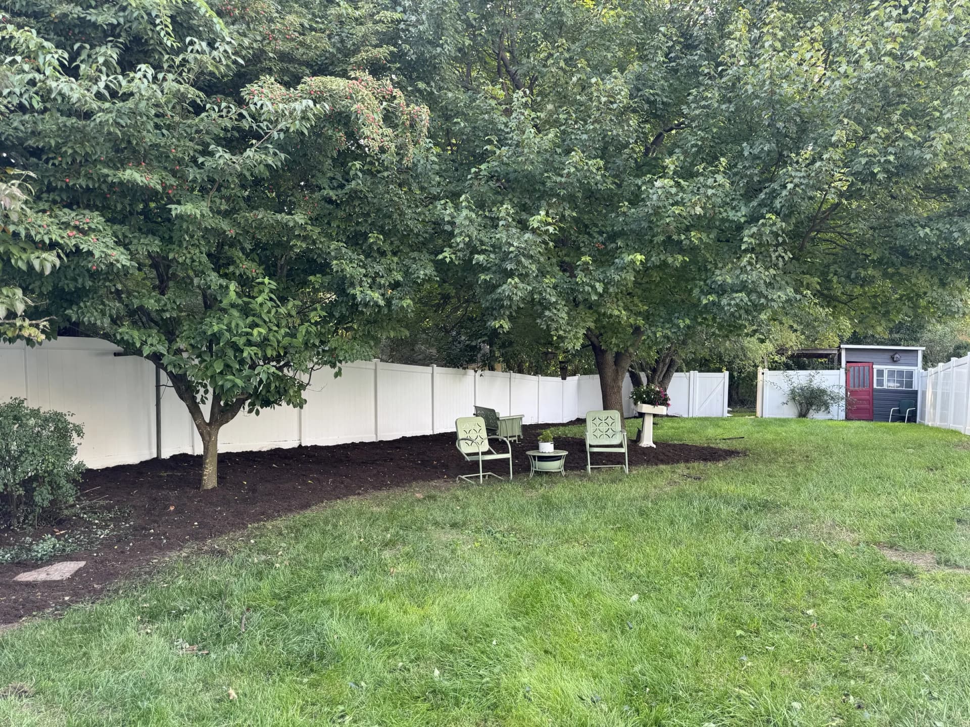 Fresh dark mulch beneath backyard trees along a white fence, with two green chairs beside the lawn.