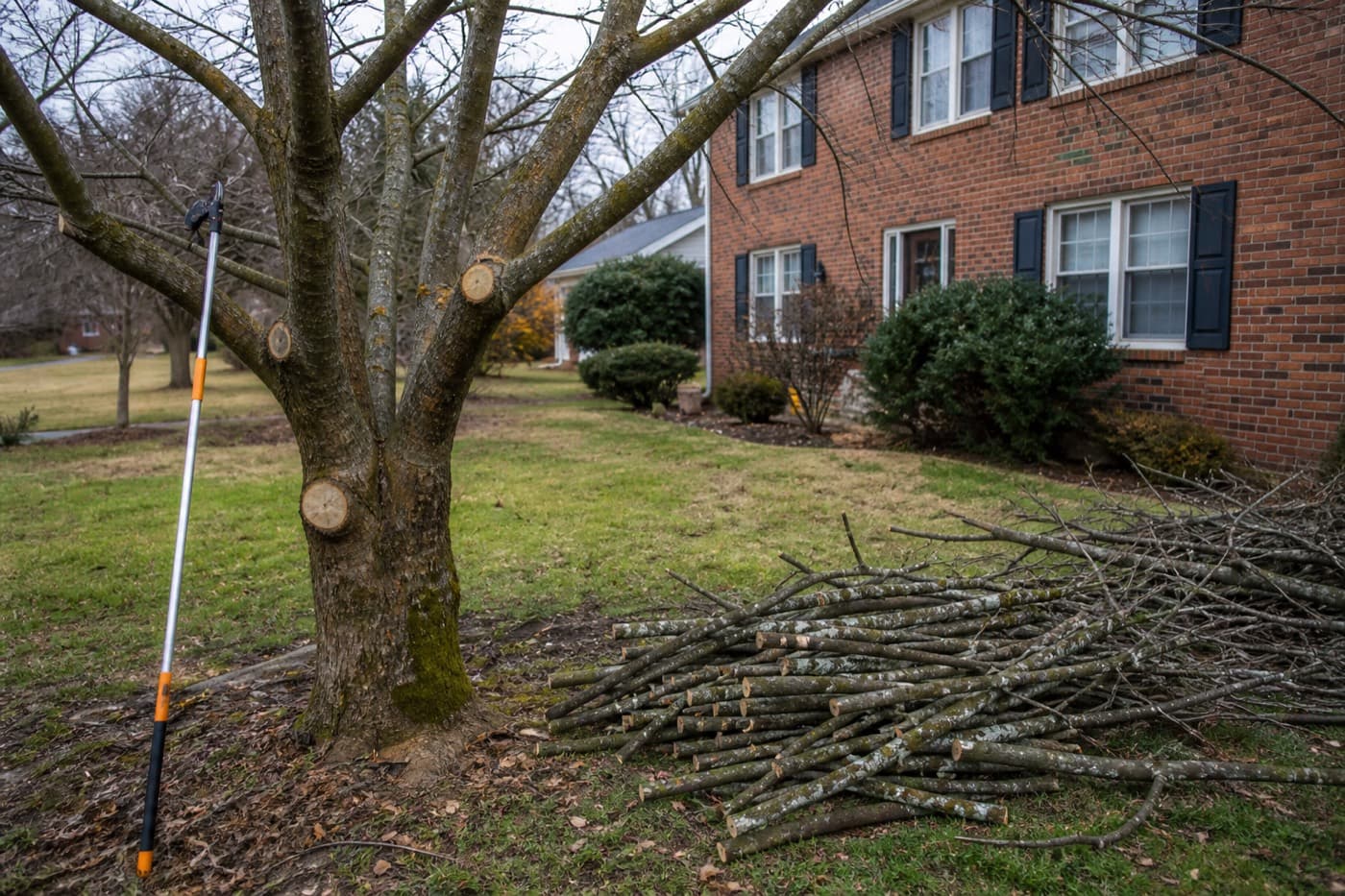 Professional tree trimming service in Radford, Blacksburg, and Christiansburg Virginia by Meadows Exteriors