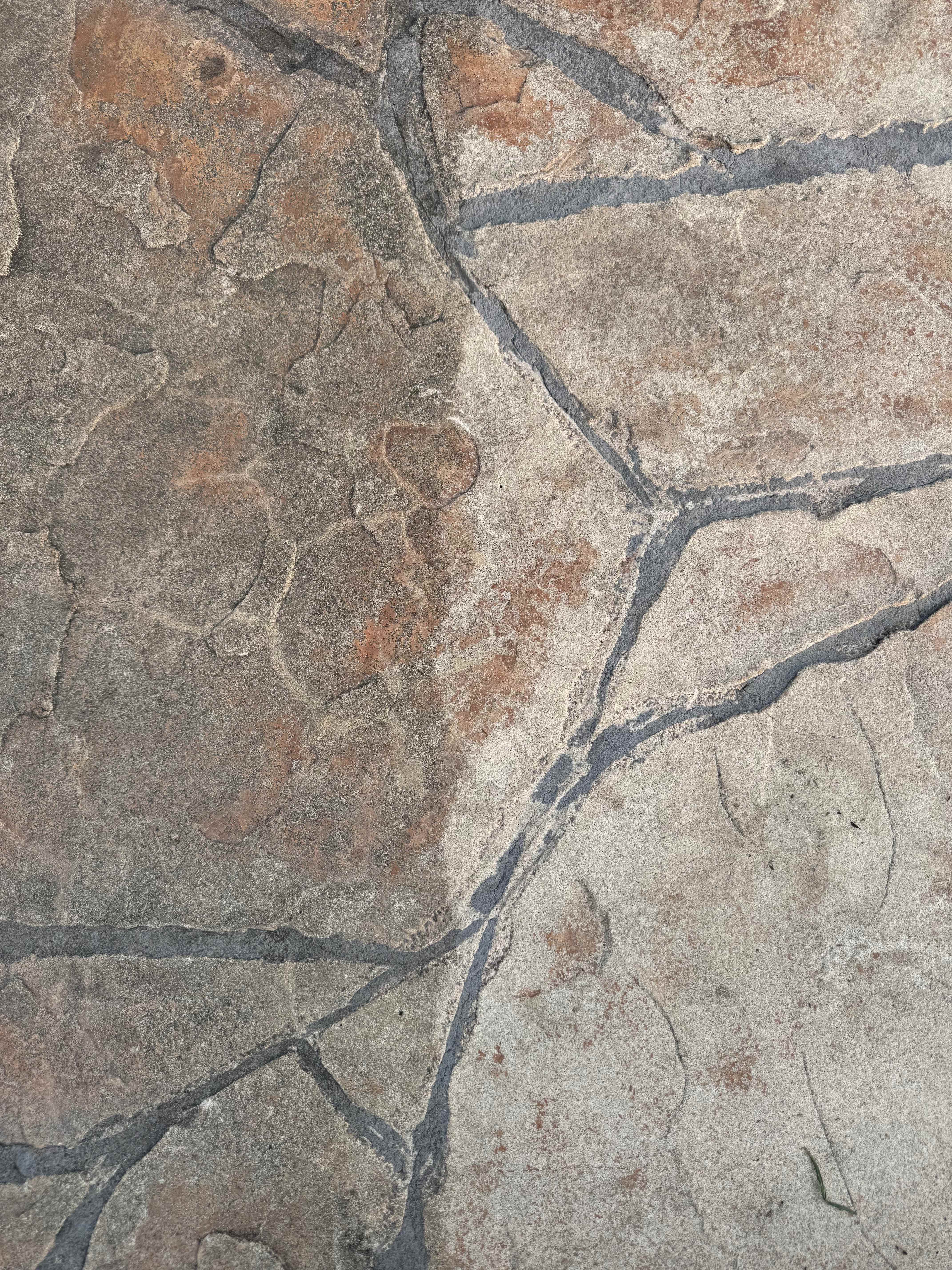 Natural flagstone paving with irregular shaped stones in earth tones